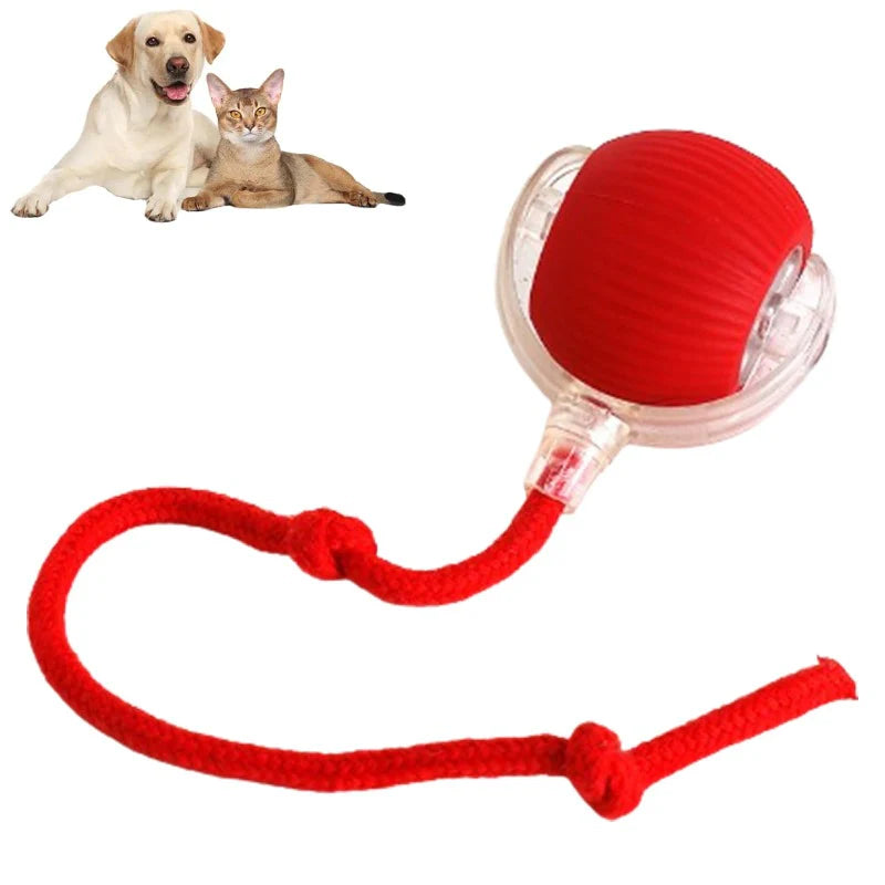 PawPlay Smart Ball