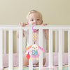 Bunny Rattle Toy