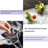 Multi-Functional Drain Basket