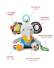 Teething with Multi-Sensory Rattle Toy
