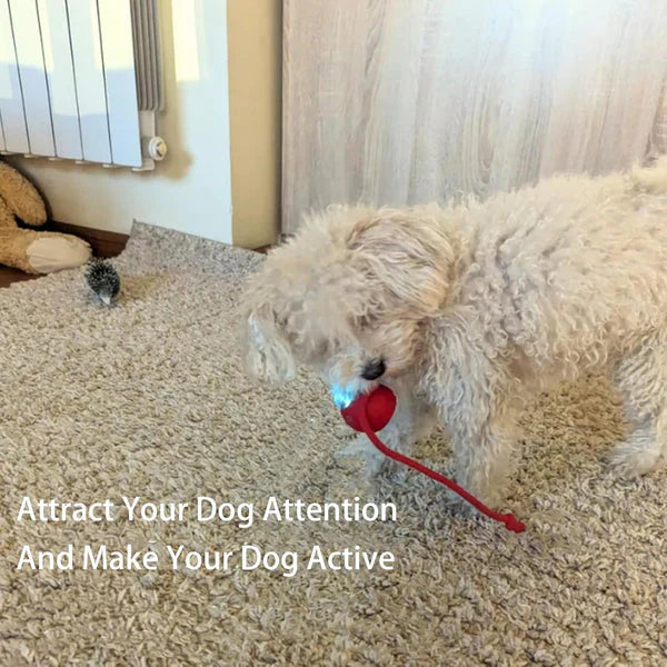 PawPlay Smart Ball