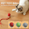 PawPlay Smart Ball