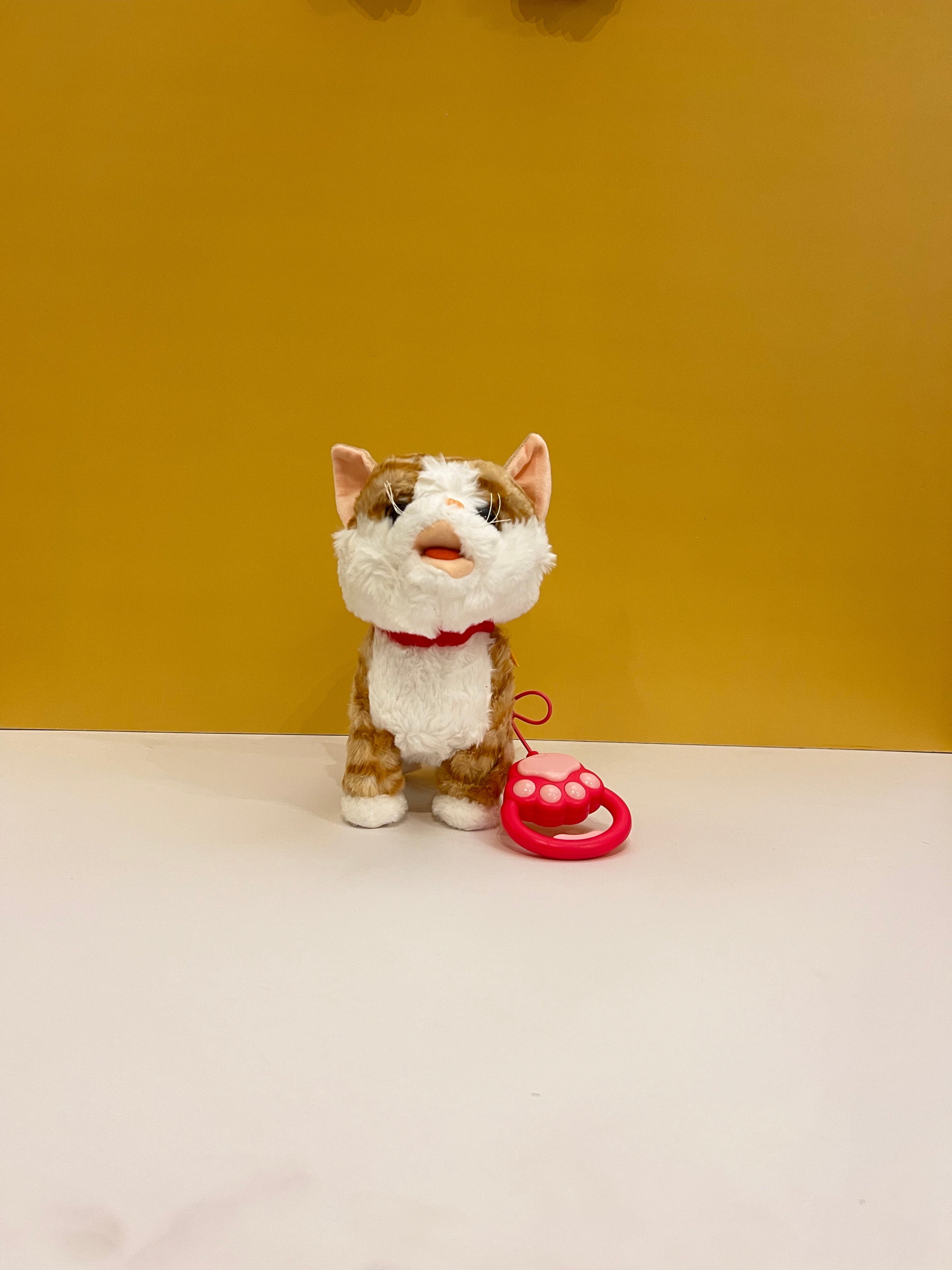 Walking Cat