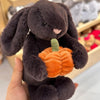Bunny Pumpkin Plush